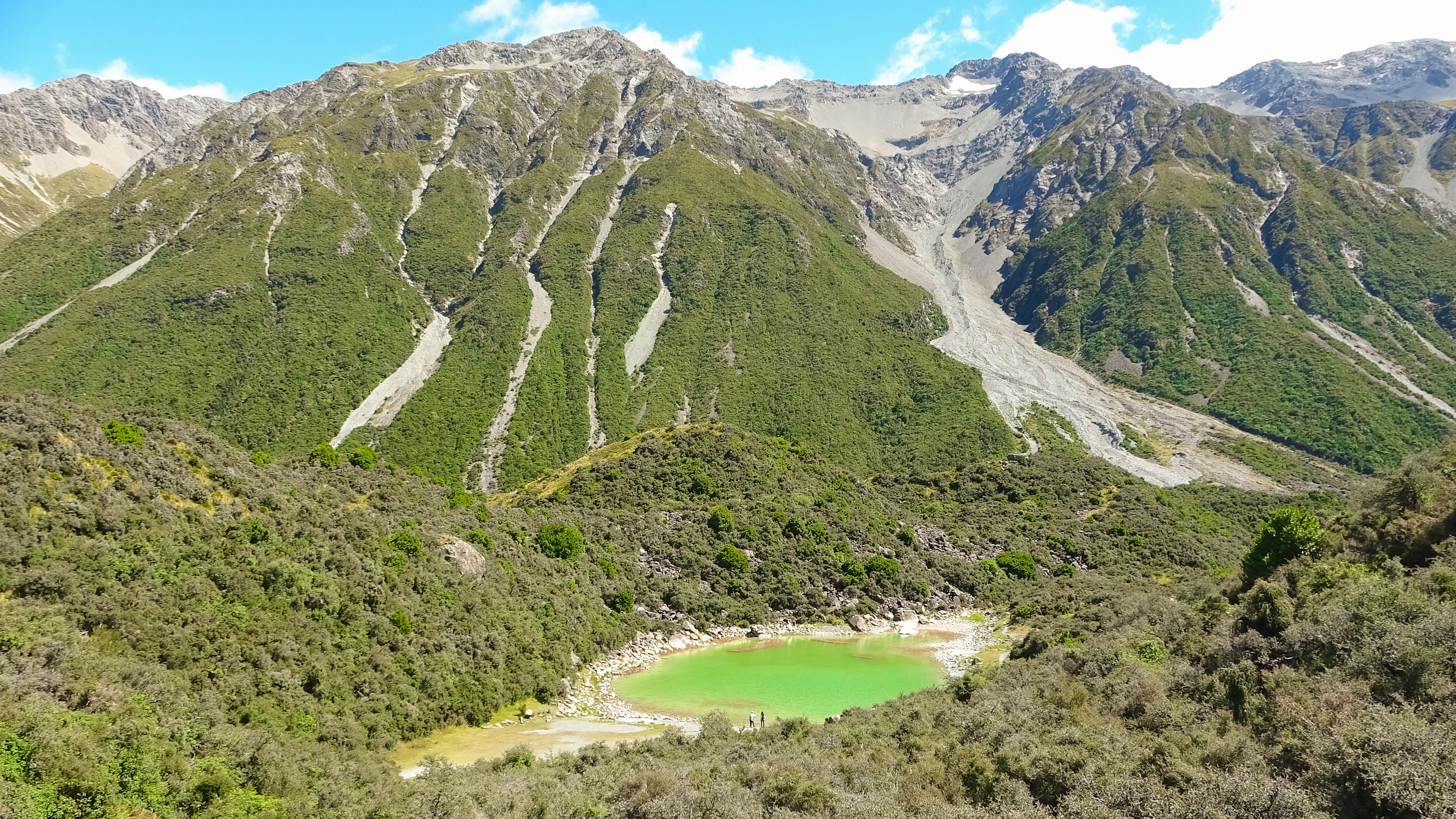 Nuova Zelanda - Parco Nazionale Aoraki